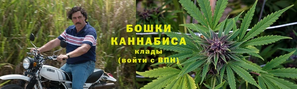 a pvp Абаза