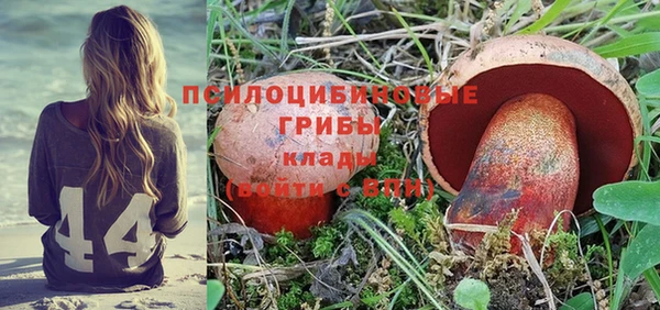 прущие крисы Приозерск