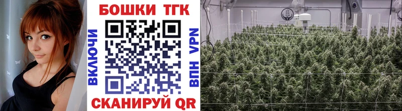 Канабис планчик mega онион Алдан